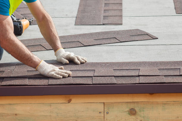 Best Skylight Installation and Repair  in Flat Rock, NC